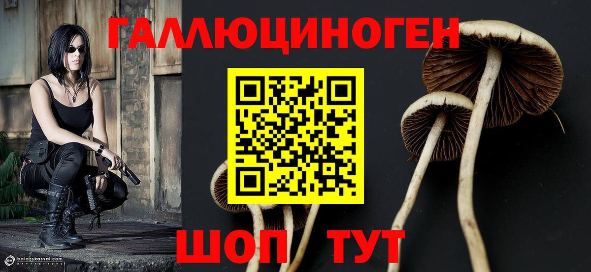 Галлюциногенные грибы прущие грибы  Псилоцибиновые грибы GOLDEN TEACHER  Дивногорск  Вход с VPN 