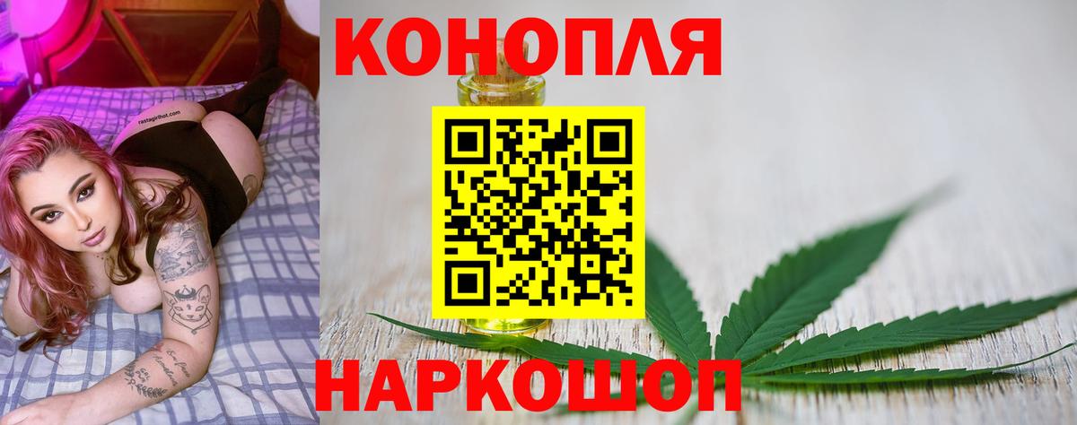 Конопля Bruce Banner Дивногорск